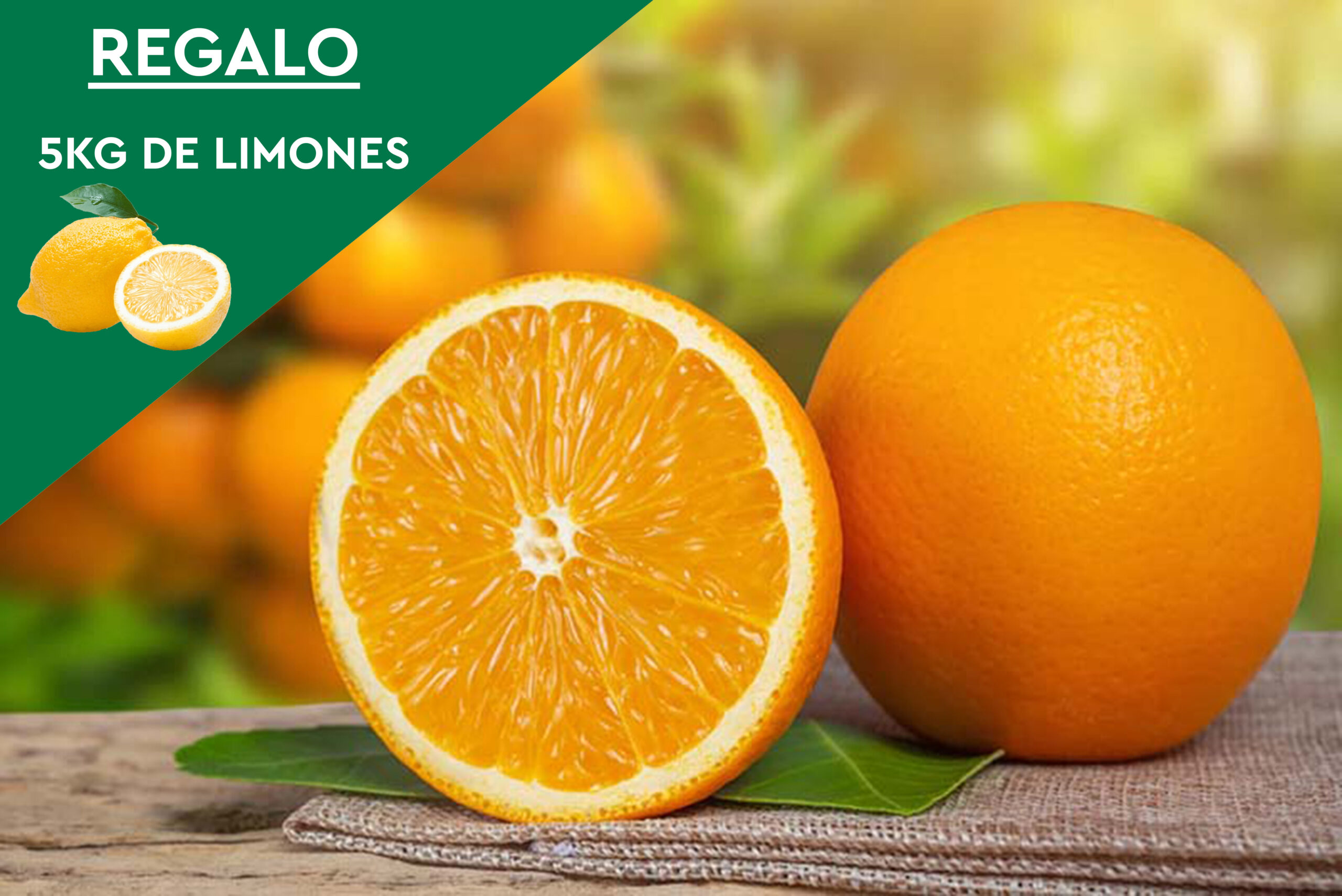 10Kg. Naranjas de Mesa + 5Kg. de Limones DE REGALO