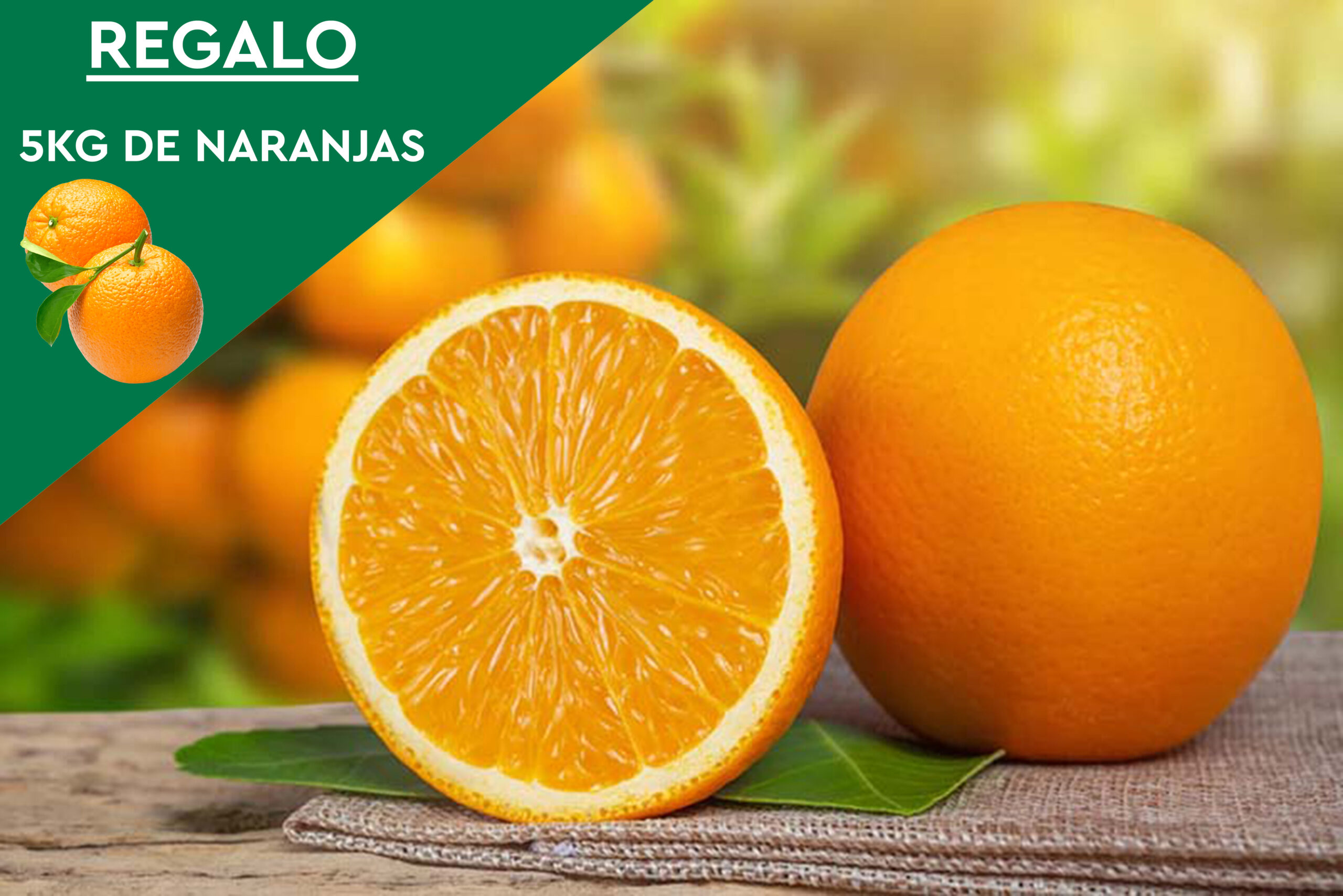 10Kg. Naranjas de Mesa + 5Kg. DE REGALO